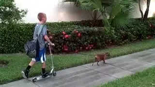 Tyler & Sadie