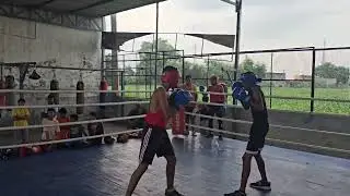 Boxing fight boys sub junior | #boxingtraining #trending #boxingtechnique #boxingcoach #boxingclass