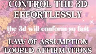 Ignoring the 3D: LOOPED Manifestation Affirmations for Moving Beyond the Present Reality