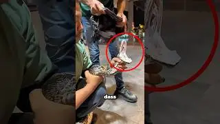 Wussten Sie, dass Schlangen mehr als 2 Z&auml;hne haben? 🐍😳🦷