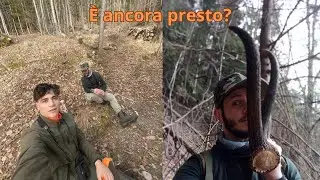 PALCHI DI CERVO - In cerca di tracce