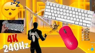 Skyloong GK61 (Mod Process) ASMR 😴 Box Fight Gameplay 📦  Satisfying Keyboard Fortnite 4K 240 FPS 🏆