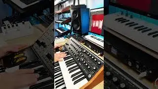Synth Bass Showdown Part 2: Novation Bass Station vs Moog  🎛️ #synthbass #synth #shorts
