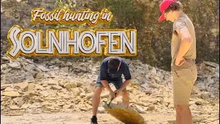 Fossil Hunting in Solnhofen - Geo Zentrum Solnhofen, Hobbysteinbruch