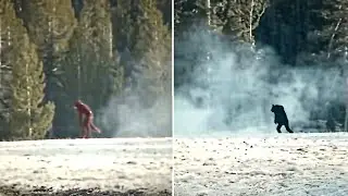 A Yosemite Park Ranger Was NEVER The Same After Seeing This