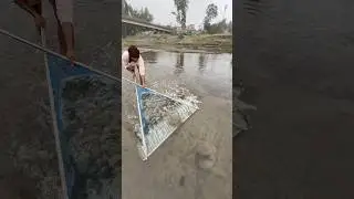 Рыбалка в реке без удочки и крючка #рыбалкавидео