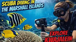 Raccoon Butterflyfish vs Threadfin Butterflyfish | Kwajalein Lagoon Dive