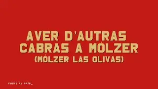 LO MOT N&deg;32 : M&oacute;lzer (coproduit par FTV et Piget Films)