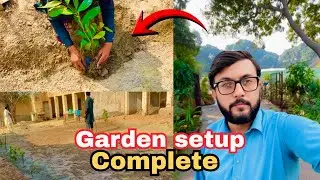 Beautiful Garden Setup Complete | Village Life Vlog