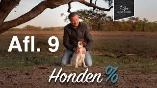 Afl. 9 | Waarom keffen kleine hondjes?
