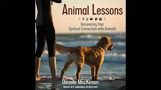 Animal Lessons: Discovering Your Spiritual Connection with Animals by Danielle MacKinnon