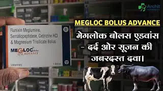 How To Use Megloc Bolus Advance. मेगलोक बोलस एडवांस - दर्द, बुखार, एलर्जी, सूजन। Archit Veterinary.