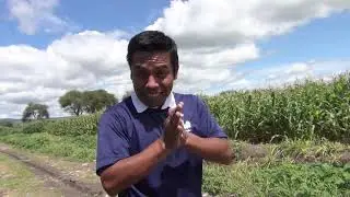 Por los senderos de San Cristóbal Tepeteopan, Puebla