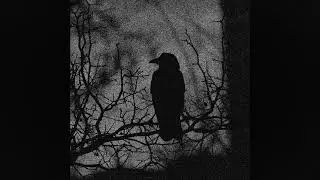 (sold) post punk + new wave + darkwave + lebanon hanover type beat ~ 
