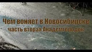 What stinks in Novosibirsk. Part two - Akademgorodok.