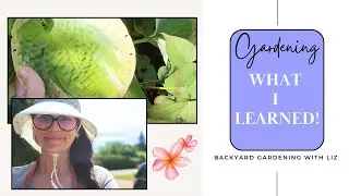 21 Things I've LEARNED During the 2025 Gardening Season - My Take (Gardening Journey Episode 31)