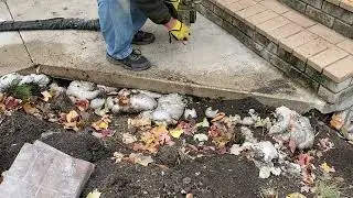 Concrete Lifting and Leveling, Void filling under front step and sidewalk.