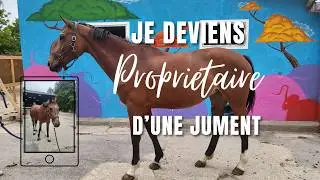 J'achète une jument ?! Je deviens propriétaire !