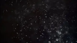 Shiny Dust Particles In Air Stock Video