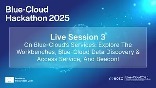 Blue-Cloud Hackathon - Live Session 3 - On Blue-Cloud&rsquo;s Services: Explore Workbenches, DD&AS, Beacon