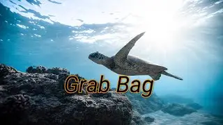 Grab Bag - Silent Partner [Audio Library Release] . Free Copyright-safe Music