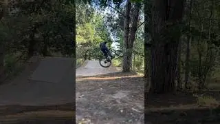 Nose bonk 360 from Dan Paley🌪 #mtb #shorts #creativity