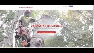 Tree Service Custom Web Design | Overflow Local