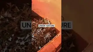 Iron oxide manufacturing