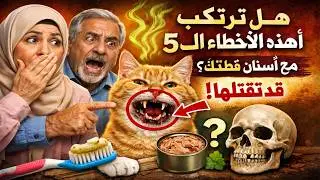 هل ترتكب هذه الأخطاء الـ 5 مع أسنان قطتك؟ 🙀 قد تقتلها ببطء!