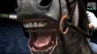 3D HORSE Animations