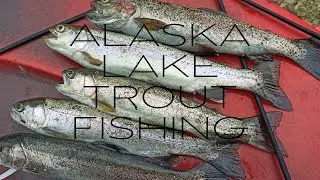 Alaska Lake Trout Fishing - PALMER AK