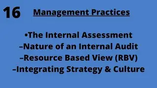 Nature of an Internal Audit MGT599 LECTURE in Hindi Urdu 16
