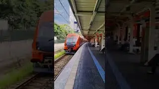 Passeio de trem por S&atilde;o Paulo. Transporte barato e eficiente.