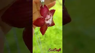 7 Orchid Pendant Designs | Polymer Clay