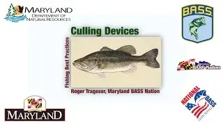Fishing Best Practices - Culling Devices - Maryland Department of Natural Resources