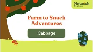 Cabbage: Farm to Snack Adventures