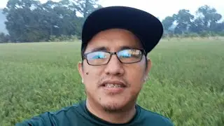 BINISITA KO ANG AMING MUNTING PALAYAN NA MALAPIT NG ANIHIN