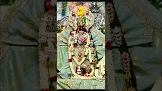 Today's Divine 4 Darshan 19/07 #vrindavan #barsana #radhavallabh #radharaman #bankebihari #krishna