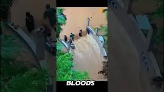 How L-Shaped Red Barriers Control Floods!