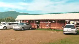 База Томичка 2019 год