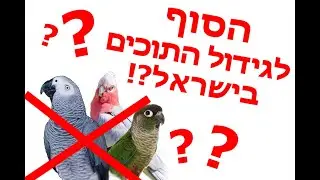 האם זה הסוף לגידול התוכים בישראל???