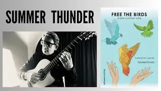 SUMMER THUNDER // GUITAR DUET // DANIEL OMAN