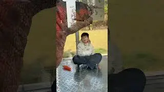 Taming Dinosaurs Can Be Dangerous #kidsvideo #fengfeng