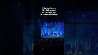 POV: You&rsquo;re at a (G)I-DLE concert w/ a fanboy.. #kpop