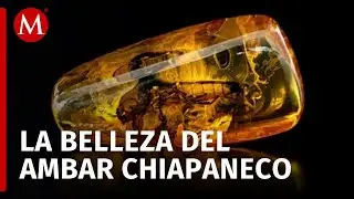 Expo Ambar de Chiapas 2024 en la CdMx ¿Cuándo y dónde será?