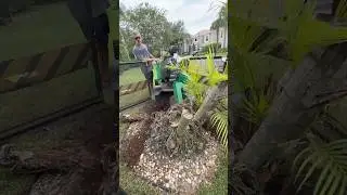 AirWrekka Palm Tree Stump Grinder in action