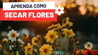 COMO SECAR FLORES PRA USAR NA RESINA.