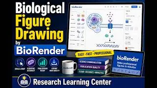 Biological Figure Drawing by BioRender