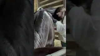 Tack up and ride with me! Vlog already posted!!