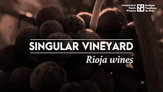 The new wines from Rioja. Charting the road